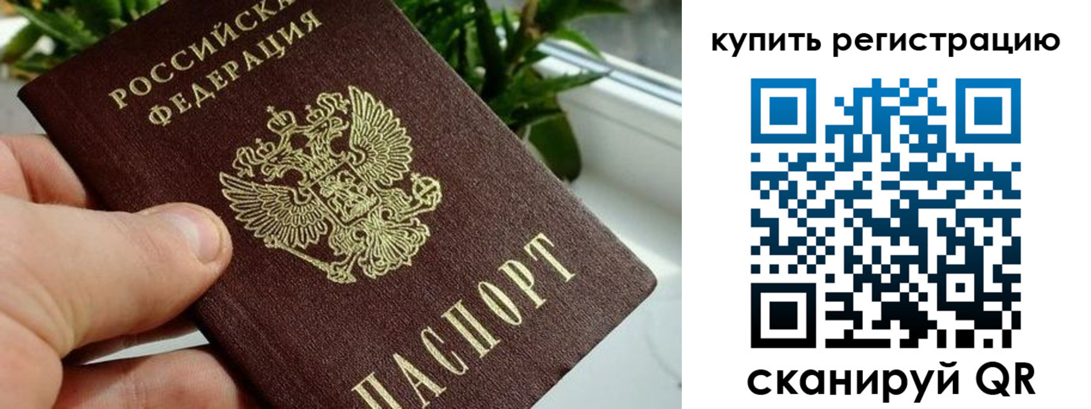 прописка гарантия в Торопеце